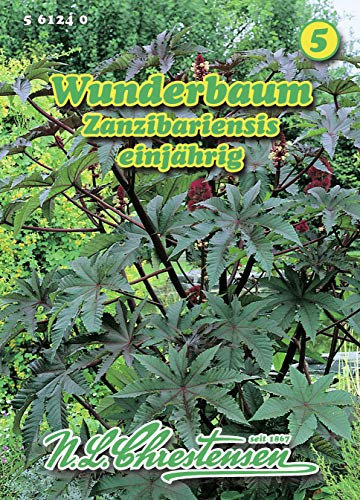 N.L. Chrestensen 561240 Wunderbaum Zanzibariensis (Wunderbaumsamen)