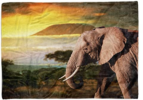 Eau Zone Handtuch Strandhandtuch Saunatuch Kuscheldecke mit Tiermotiv Elefant Afrika Kil Größe 100 x 50 cm