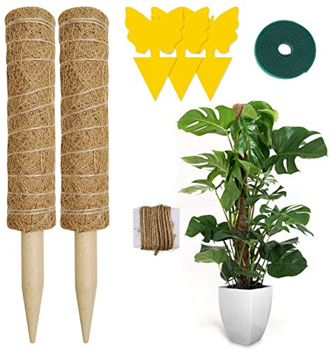 Hongyans 2 Stück Pflanzstab Kokos Moosstab für Pflanzen 30cm Pflanzstab Rankstab Monstera Rankhilfe Kokosstab für Kletterpflanzen mit Kabelbinder, Jute Schnur, Gelbtafeln