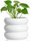 Cusmation Pot de fleurs moderne en céramique blanche de 14 cm avec trous de drainage, convient pour les plantes d'intérieur, joli pot de fleurs unique pour la maison et le bureau