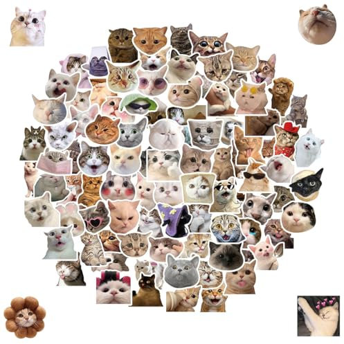 100 Stück Lustiges, lustiges Katze-Aufkleber-Set, niedliche Katze-Aufkleber, wasserfeste Vinyl-Aufkleber, ästhetische Aufkleber für Katzenliebhaber (Katzeform)