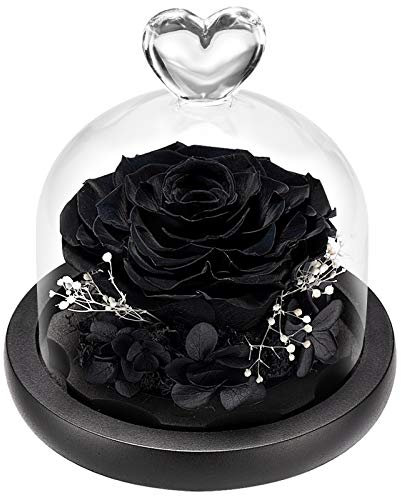 DuHouse Forever Roses Preserved Real Flowers Eternal Enchanted Rose Flower Box Unique Gift for Valentines Birthday Anniversary Mother's Day Christmas(Black)