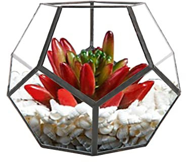 Terrarium Moderne en Forme de Dodécaèdre Planteur de Bureau de Conteneur de Terrarium Noire Copper Pots de Fleurs