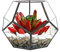 Hapivida Terrarium Moderne en Forme de Dodécaèdre Planteur de Bureau de Conteneur de Terrarium Noire Copper Pots de Fleurs