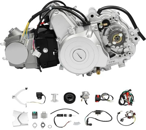 BJTDLLX 125ccm Motor Motorrad Motor Dirt Bike Motor Pit Bike 125ccm Pocket Bike Motor ATV Mini Quad Motorcycle Motor Kit, Professionelle 4-Takt Engine, Electric Start (CDI Zündanlage)