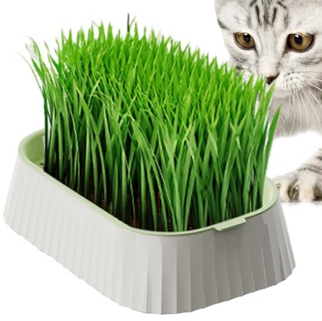 Katzengras-Topf, Katzengras wachsende Keimschale, doppellagiger Behälter, Kindergartenbox, Hydrokultur-gesunder Weizengras-Züchter, Pflanzkasten für Hausgärtnerei