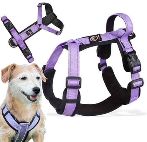 Lalazoo Hundegeschirr Typ Guard Capri S Lila – Verstellbares Hundegeschirr für große Hunde – Reflektierend, Atmungsaktiv & Bequem mit Neopren-Polsterung und Griff