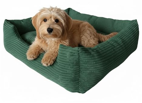 Extrasen Hundebett für mittelgroße Hunde - Weiches Hundesofa mit robuster Cord-Struktur und herausnehmbarem Kissen - Bequemer Schlafplatz für mittelgroße Hunde - Grün