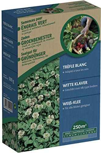 Vilmorin Trèfle Blanc - Engrais Vert 500 g -