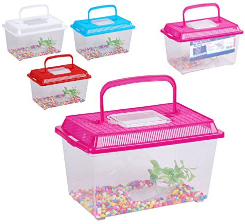 Aquarium with stones and algae