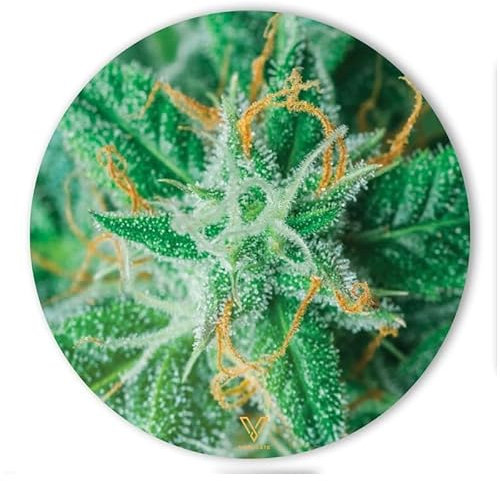 V-Syndicate SLIKKS DAB MAT ROUND AK-47 Non-slip Silicone Tray Mat Diameter 15 cm