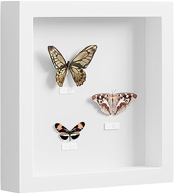 EUGAD Cadre Photo, 3D, Vitre en Plastique avec Papier Passe-Partout, Cadre de Boîte d'Ombre pour Objets jusqu'à 3cm, en Bois, 20x20cm, Blanc