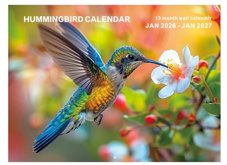 2026 Vogel Wandkalender,13-Monate Kolibri Kalender - Januar 2026 - Januar 2027 Für Zuhause Büro Schule Natur Und Vogelliebhaber