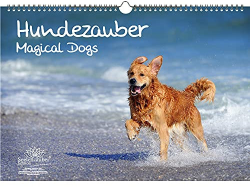 Hundezauber Große Hunde DIN A3 Kalender - Immerwährender Kalender Welpen und Hunde - Seelenzauber