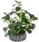AlphaAcc Plantes succulentes artificielles en Pot avec Pot de Fleurs rustiques en Argile Noire pour Salle de Bain, Chambre à Coucher, Cuisine, Bureau, Table Basse