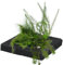 vdvelde.com - Oxygen Plants Island - 25 cm - - Schwimmende Sauerstoffpflanzen - Ausgewachsene Höhe: 10 cm- Platzierung: lose im Wasser