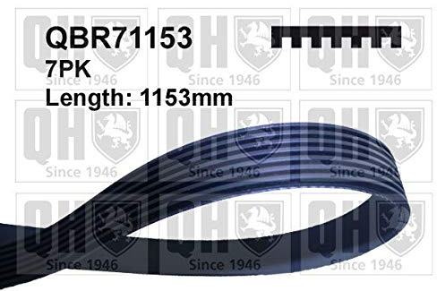 QH QBR71153 MULTI-RIBBED BELT