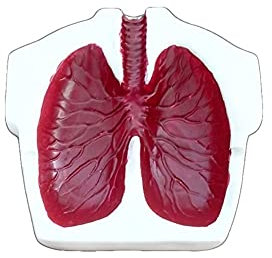 XXZY Aschenbecher Neuheit Harz Lung-förmige Aschenbecher Tragbare Exquisite Multifunktions-Aschenbecher for Männer aufhören Rauchen Geschenke (Color : A)