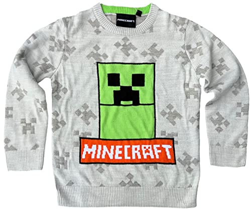 Minecraft Kinder Pullover Pulli für Jungen + Mädchen in grau Gr. 116 für 6 Jahre