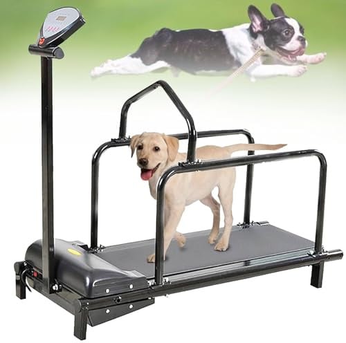 Hunde-Laufband für große Hunde, maximale Belastung 80 kg, Laufgerät für kleine und mittelgroße Hunde, ideales Indoor-Trainingsgerät