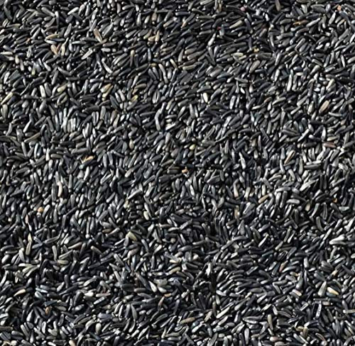 NIGER NYGER SEED 5kg High Energy High Protein Premium Quality All Year Round Wild Garden Bird Seed