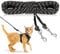 RANYPET Reflective Cat Long Leash 4.5M/15FT Escape Proof Walking Lead for Kitten, Puppy, Rabbit and Small Animals - Durable Safe Personalized Extender for Training Play Outdoor, Black