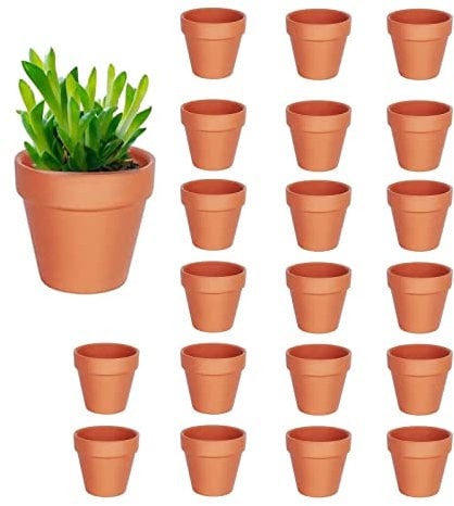 FAINCA 20 Pezzi Terracotta Vasi per Piccola Pianta, Vasetti per Piantine Biodegradabili, Vaso per Piante Rispettoso Dellambiente Riutilizzabile per Piante Aromatiche, Fiori, Semi (4,5cm)