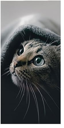 DOTERO Badetuch Katzen Muster-70cmx140cm,Katzen Kätzchen Motiv Strandtuch Für Kinder Erwachsener,Mikrofaser Handtucher für Schwimmbäder, Strände, Sport (4,70x140cm)