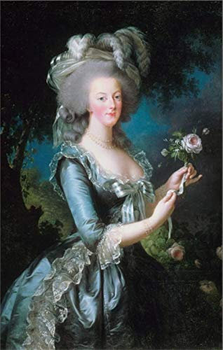 YANCONG Türposter Selbstklebend Marie Antoinette Mit Rosen Fototapete Türfolie Poster Tapete 88X200Cm