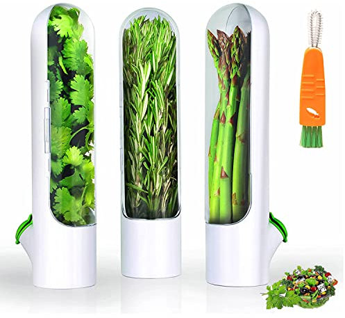 DSGDSF Lot de 3 boîtes de conservation d'herbes aromatiques pour réfrigérateur Conteneurs transparents pour coriandre, menthe, asperges