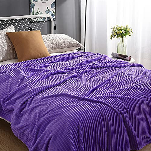 Lukery Kuscheldecke Flauschig, Dicke Warm Couchdecke Extra Weich Wohndecke als Sofadecke, Tagesdecke oder Winterdecke (180x200cm,Lila)