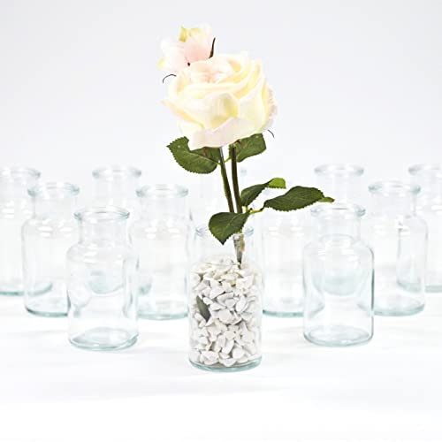 gouveo 12er Set Glasvasen Clear-Bottle 250 - Runde Blumenvasen aus Glas - Deko-Vasen für Zuhause, Hochzeiten, Geburtstage, Feste