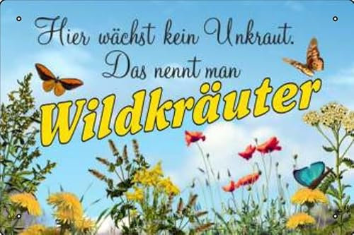 Blechschild Schild 20x30cm - hier wächst kein Unkraut das nennt man Wildkräuter Kräuter Blumen Garten