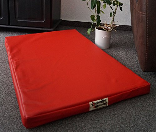 Hundebettenmanufaktur Orthopädisch Hundematratze mit antiallergischer Kokosmatte Hundebett beidseitig Kunstleder Größe und Farbe wählbar (100 cm X 60 cm, rot)
