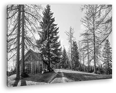 deyoli Vecchia capanna in Legno Effetto Foresta: Bianco e Nero su Tela, Motivo già incorniciato su Telaio in Vero Legno, Stampa Digitale di Alta qualità con Telaio, nessun Poster o Poster, 100x70