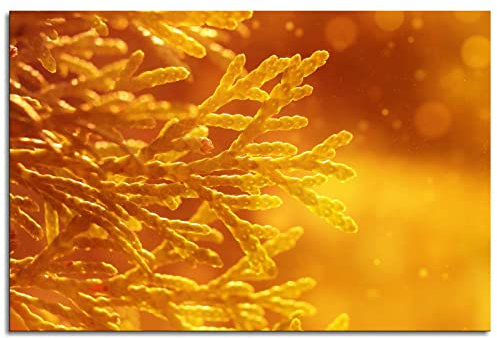 Thuja Poster Laub Kunstdruck auf Leinwand Nahaufnahme Wandkunst für Zuhause, 1 Paneele, Dekorationen, ungerahmt, 45,7 x 30,5 cm