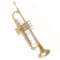 Trompete B-Trompete Anfänger Performance professionelles Blechblasinstrument