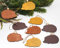 LB H&F 9 x Anhänger Herbst Deko Igel Holz (I)