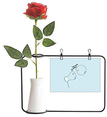 OFFbb-USA Seifenblasen-Spiel, Art-Deco-Geschenk, Mode, künstliche Rose, hängende Vasen, Dekoration Flasche
