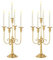 50 cm Gold Kerzenhalter für Tische, 2 Stück Metall hoher Kerzenhalter für Stabkerzen, 5-armiger Kerzenhalter für Hochzeit, Tafelaufsatz, Dekoration, Party, Veranstaltung, Empfang, Dekoration