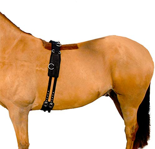 Hunters Saddlery Deluxe Longiergurt aus gepolstertem Nylon für Pferde – Größe Vollblut (Cob)