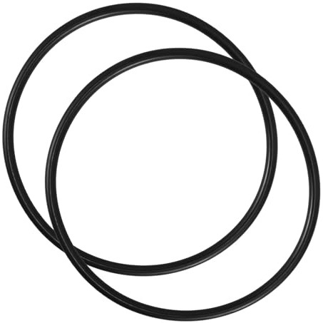 TEMPNAP Lot de 2 Bagues d'Étanchéité en Caoutchouc, Joints Toriques pour Pompe Filtre Piscine Spx3000S, Accessoires pour Maintenance Filtration Piscine