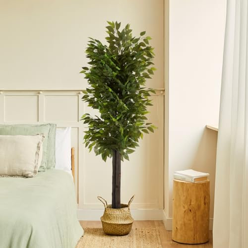 BLAINE | Wild Ficus 150cm | Plantes Décoratives Artificielles | Grandes Plantes Artificielles | Intérieur/Extérieur | Plantes Artificielles Réalistes pour la Décoration de la Maison | Pas d'entretien