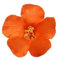 Pinces à cheveux en forme de fleur pour femme, style île bohème, fleurs artificielles pour vacances, fête à la plage, orange