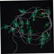CORHAD Palm Tree Decorative String Lights Led Battery Operated Fairy Lights for Christmas Weddings Birthdays and Parties for Garden and Home Decor
