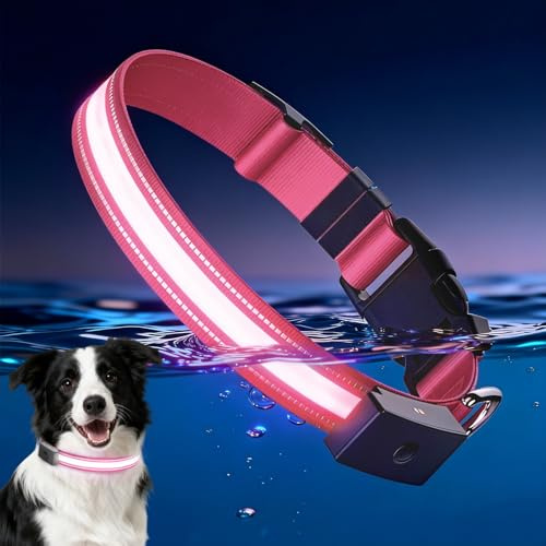 Leuchthalsband Hund, 1600FT Super Hell LED Leuchthalsband Aufladbar | Wasserdichtes Strapazierfähig Verstellbar Leuchthalsband Magnetisch Wiederaufladbar für Kleine und Große Hunde (Rosa, M))