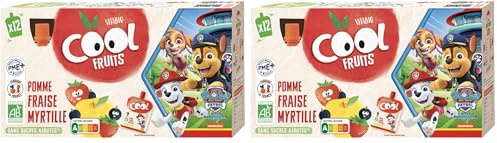 Vitabio Cool Fruits - Gourdes La Pat' Patrouille Pomme Fraise Myrtille - 12 x 90 g - BIO (Lot de 2)