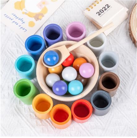 Vicloon Jeu de Tri Montessori en Bois pour Enfant 2 Ans et Plus, Jouet en Bois Balles dans des Tasses, pour Le tri des Couleurs et Le Comptage, Bebe Empiler et de tri Jouet, 12 Balles