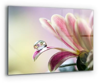 Wallfluent Gehärtetes Glas Fliesenschutz Wandanbringung Küchenrückwand 80x60cm Spritzschutz Glasrückwand für die Küche Mit Motiv - Blume mit Tautropfen