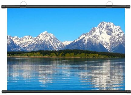 Portable Projection Movies Screens, 60 72 Pull Down Projector Screen, 4:3/16:9 Ratio HD Projector Curtain for Home Theater Cinema Indoor Outdoor Wall Ceiling Mountable, 3 Styles(Metal,4:3 60in)